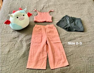 Girl clothes size 2/3 and a  stuffed toy all for $3