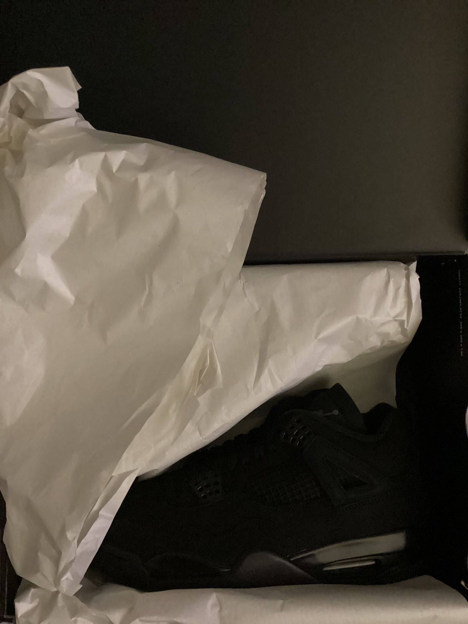 Air Jordan 4 Black Cat