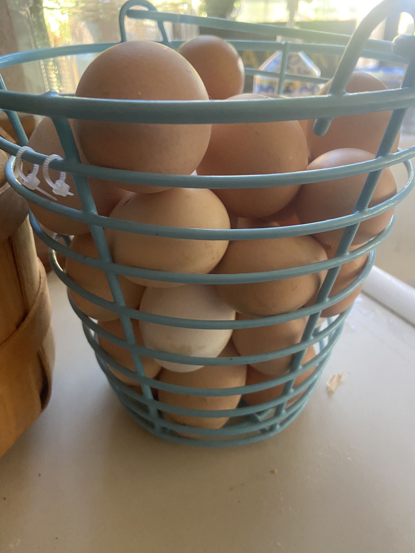 Fresh Eggs