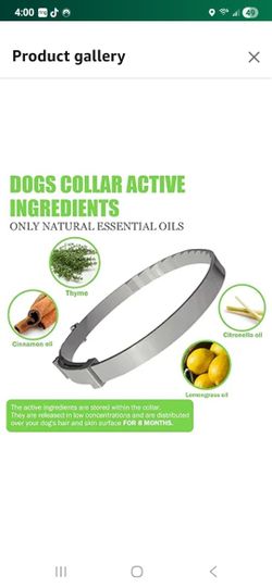 Dog Collar For Flees and TICK 