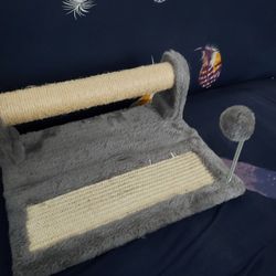 CAT SCRATCHING  PLAYING PLACE