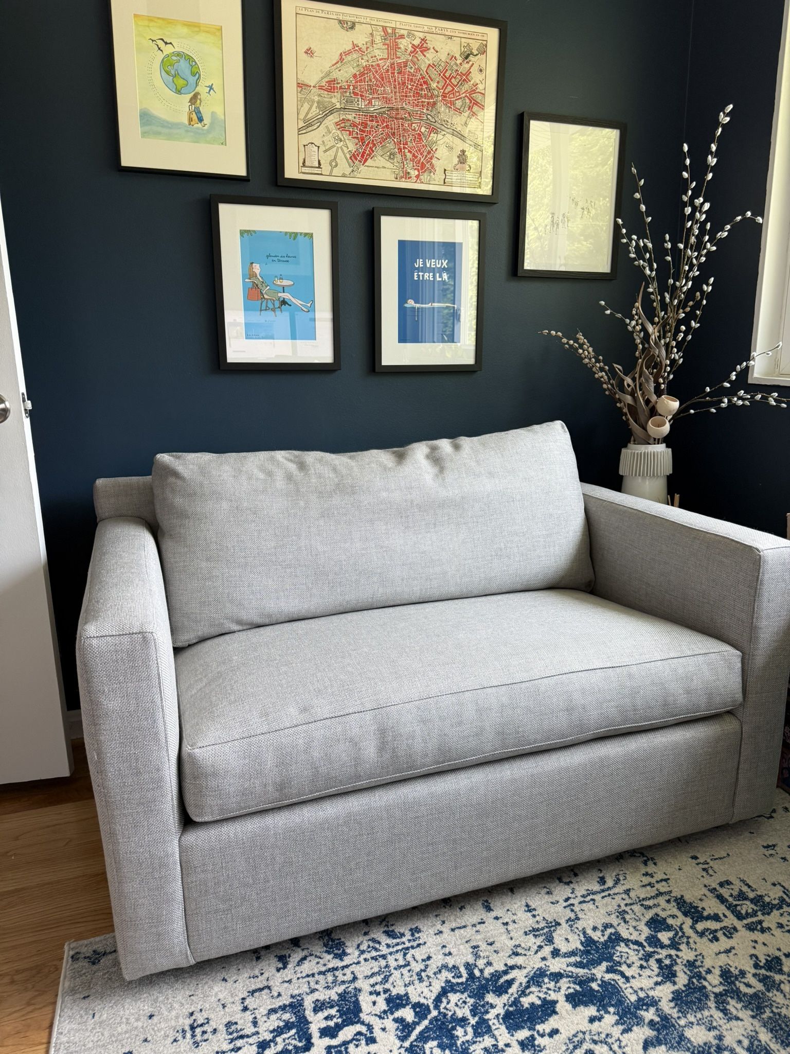 Twin Sleeper Sofa - Crate and Barrel (Peyton)
