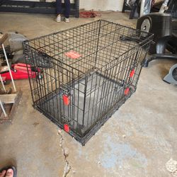 Kong Dog Crate