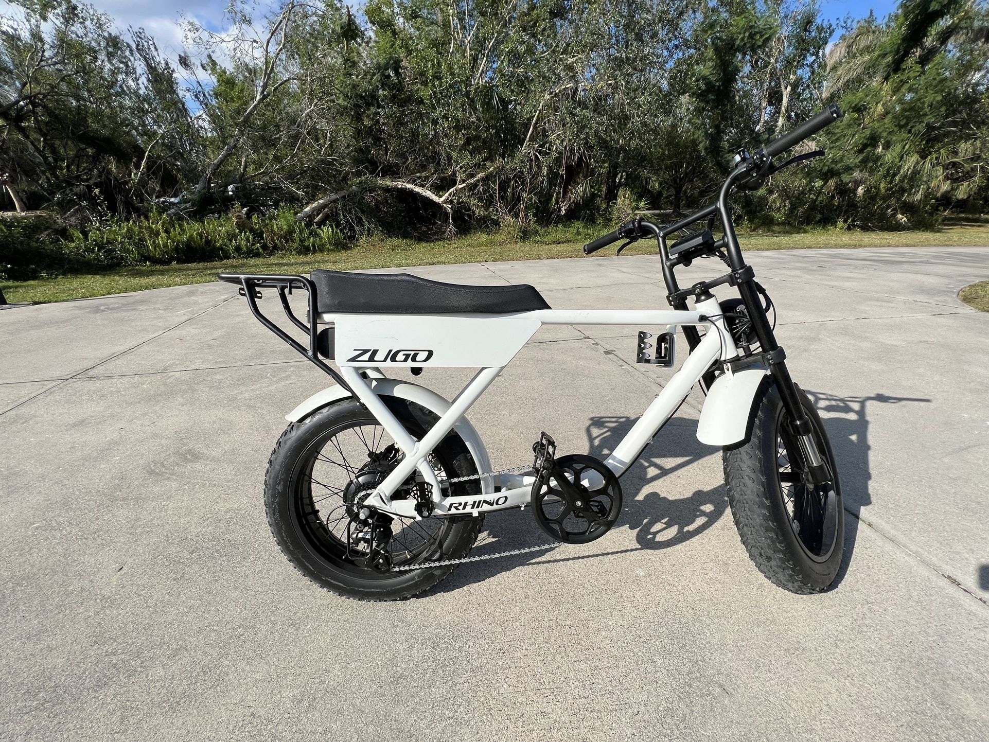 RHINO Electric Fat Bike