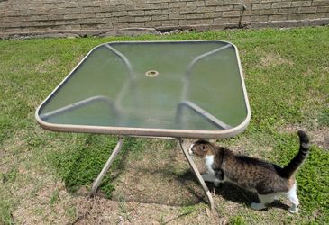 • Square Patio Table