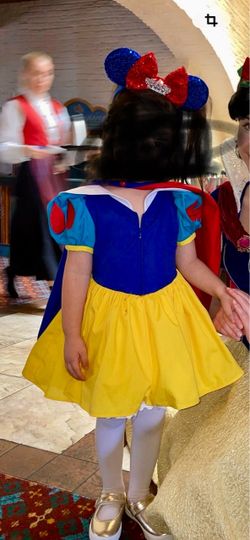 Custom snow white costume