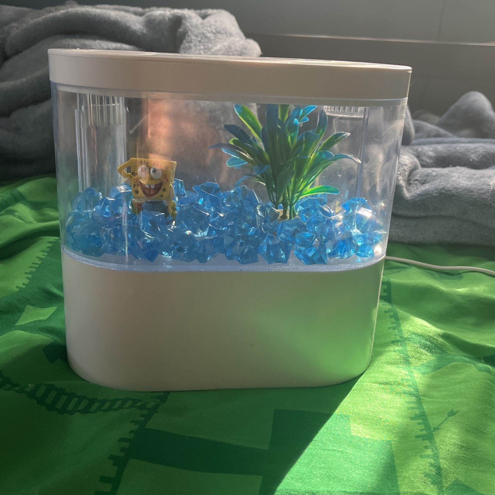 Filtered Fish Tank