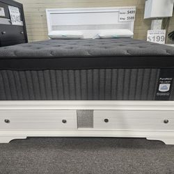 Brand New 16" Thick Plush Pocket Coils Queen Pillowtop Mattress