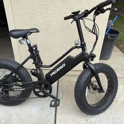 Electric bike PEDEGO