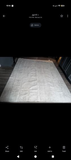 Costco Gertmenian 8x10 Area Rug (Ezra)