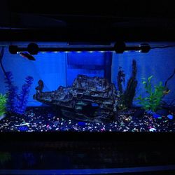Fish Tank Decoration Ship