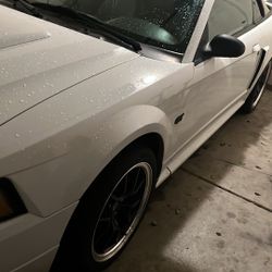 2v 4.6 Ford Mustang Gt 