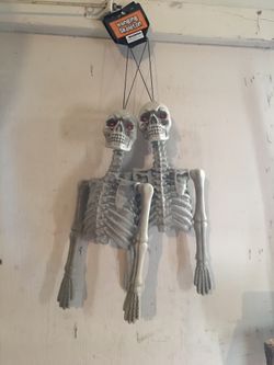 Hanging skeletons