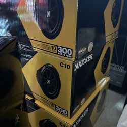 10” Subwoofer 