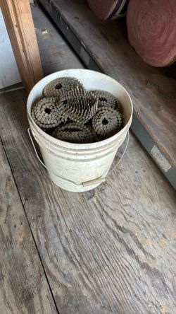 Rooting Nails