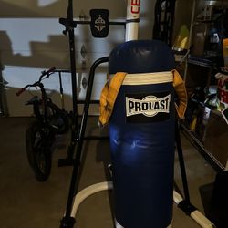 Prolast Boxing Bag With Heavy Duty Suspension Setup