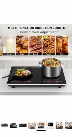 Double cooktop,110v 4000w