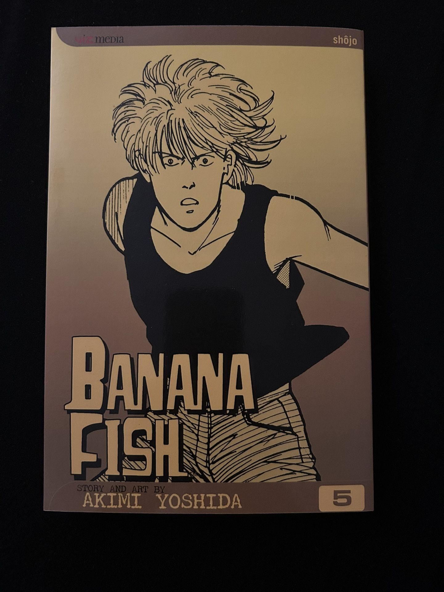 Banana Fish Manga Vol. 5