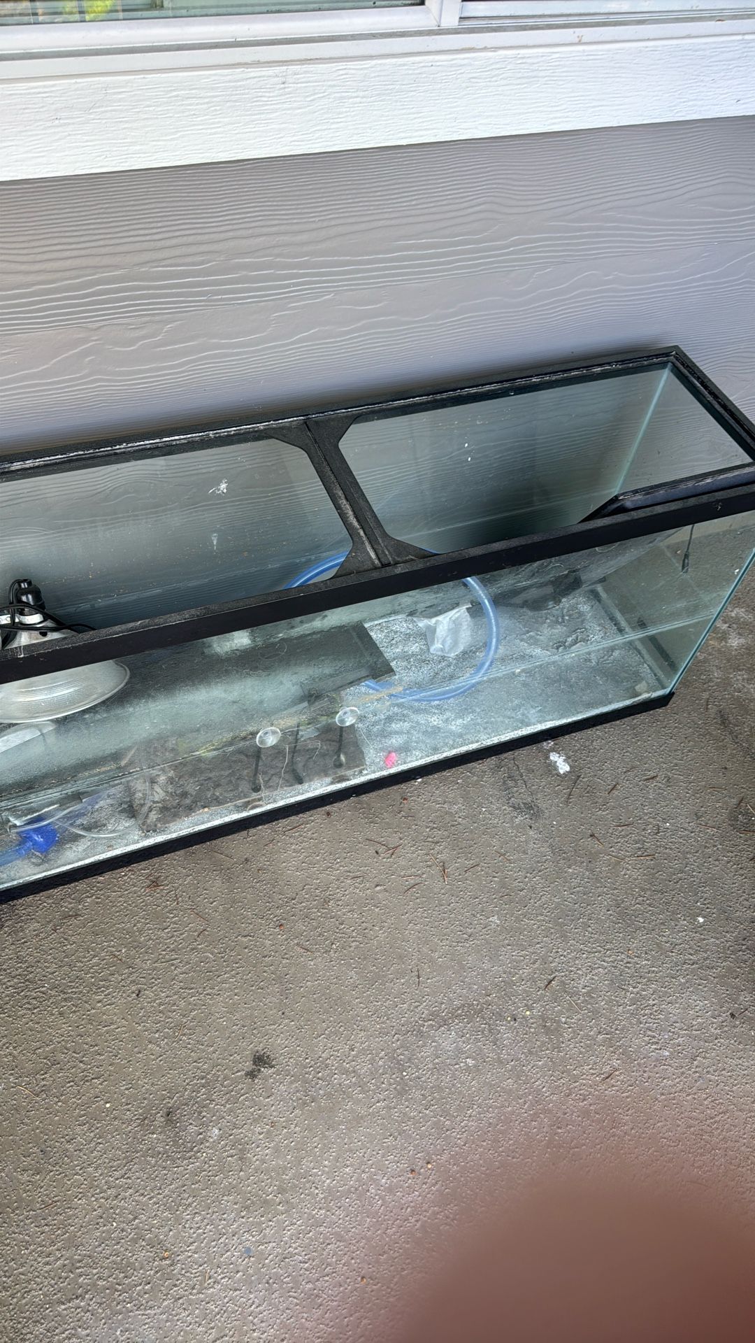 55 Gallon Fish Tank