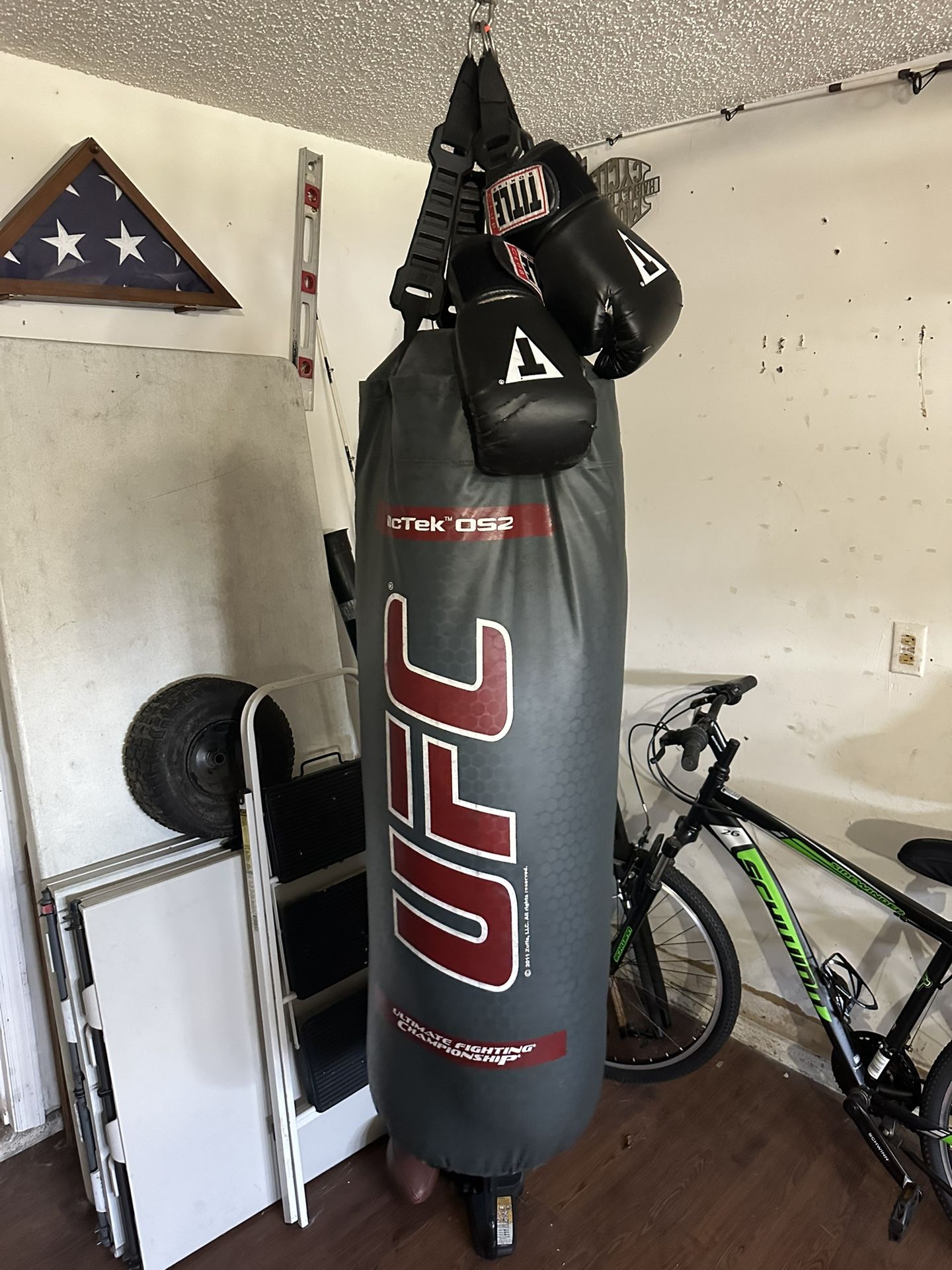 Fullsize Ufc Punching Bag With Gloves