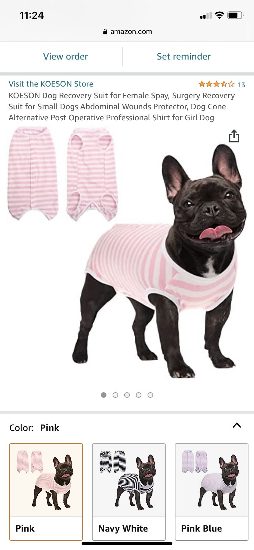 Recovery Suit For Dog After Spay