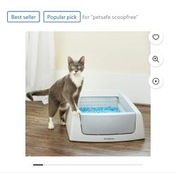 Electrical cat litter box