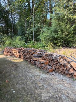 3 Cords Dried Firewood