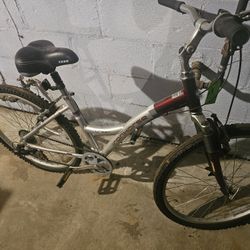 Woman's Bike
