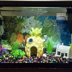 Bikini 👙 Beach: Pineaple/Krusty Krab Aquarium w all accessories. Pecera de SpongeBob con accesorios
