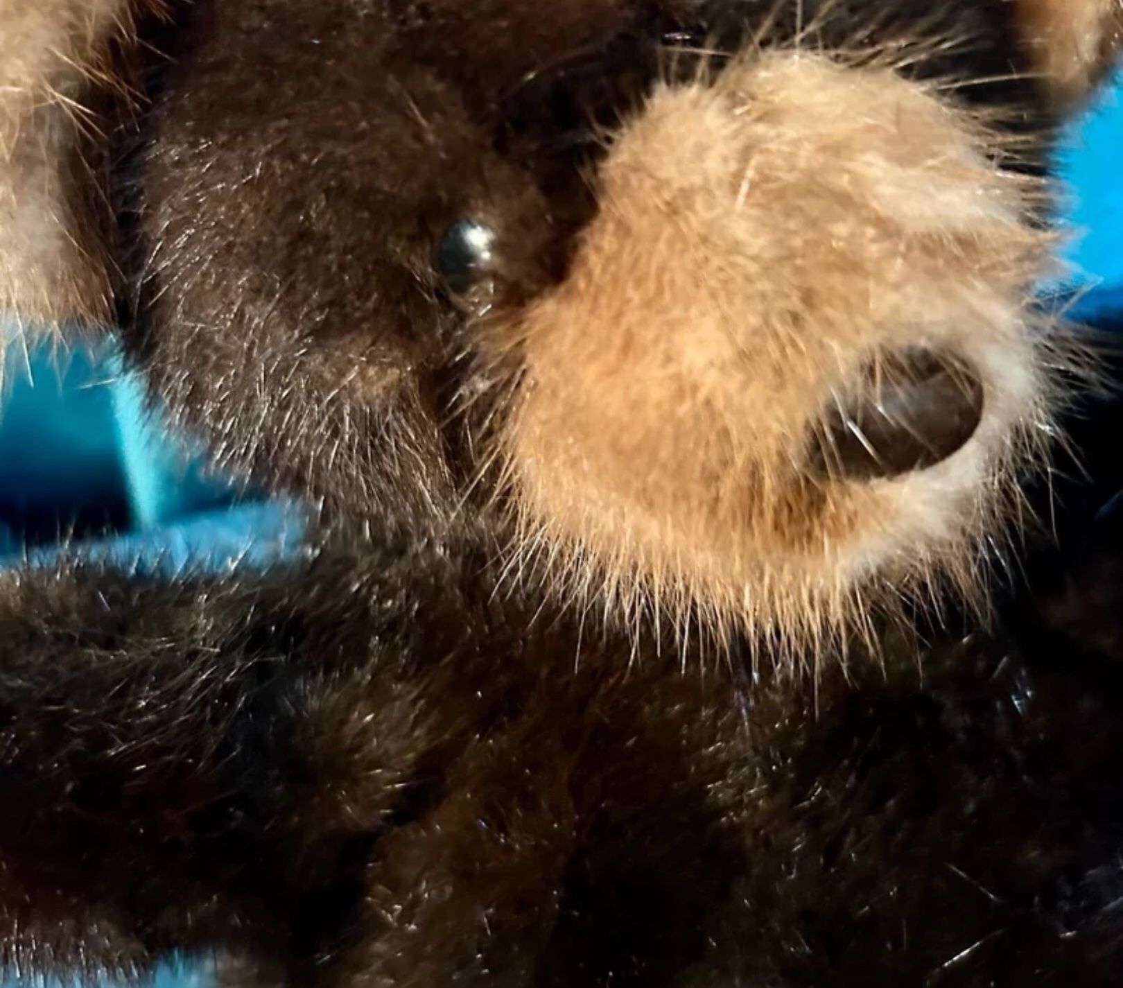 Natural Mahogany Demi Buff Mink Fur Teddy Bear