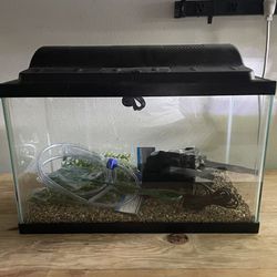 Aqueon 10g Fish Tank Aquarium Kit