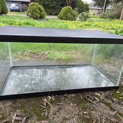 40 GALLON FISH/REPTILE TANK
