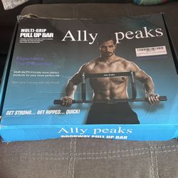 Ally Peaks Pull Up Bar 
