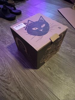 Cat grooming protection