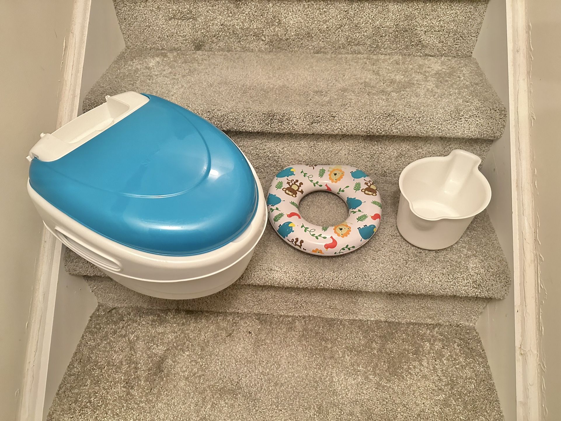 Potty Training Seat