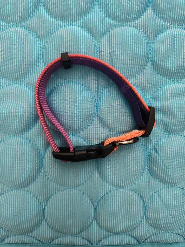 Colorful Pink and Purple Dog Collar