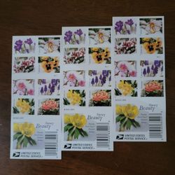 Forever Stamps First-Class Mail 3 Booklets 