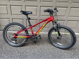 Polygon Premier XC20 Kids bike