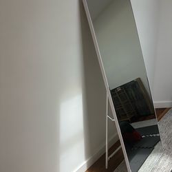 Full Length Mirror 65x23.6