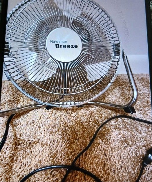 fan