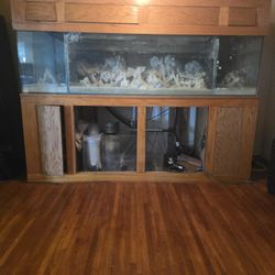Aquarium 300 Gallon 