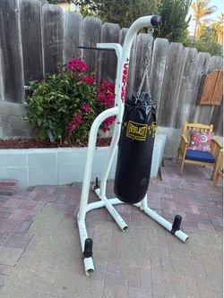 Everlast Boxing Bag with Stand for Speedbag