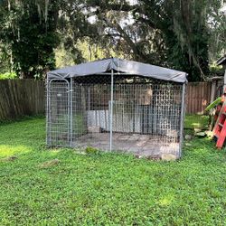 Dog House