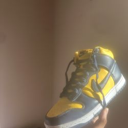 Nike High Dunk Retro Se 