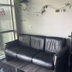 Black Sofa