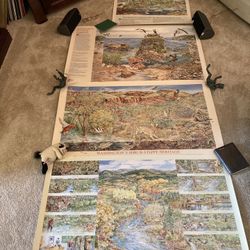 (4) NOS 35” x 23” Department of fish and wildlife illustrated posters 2 Signed