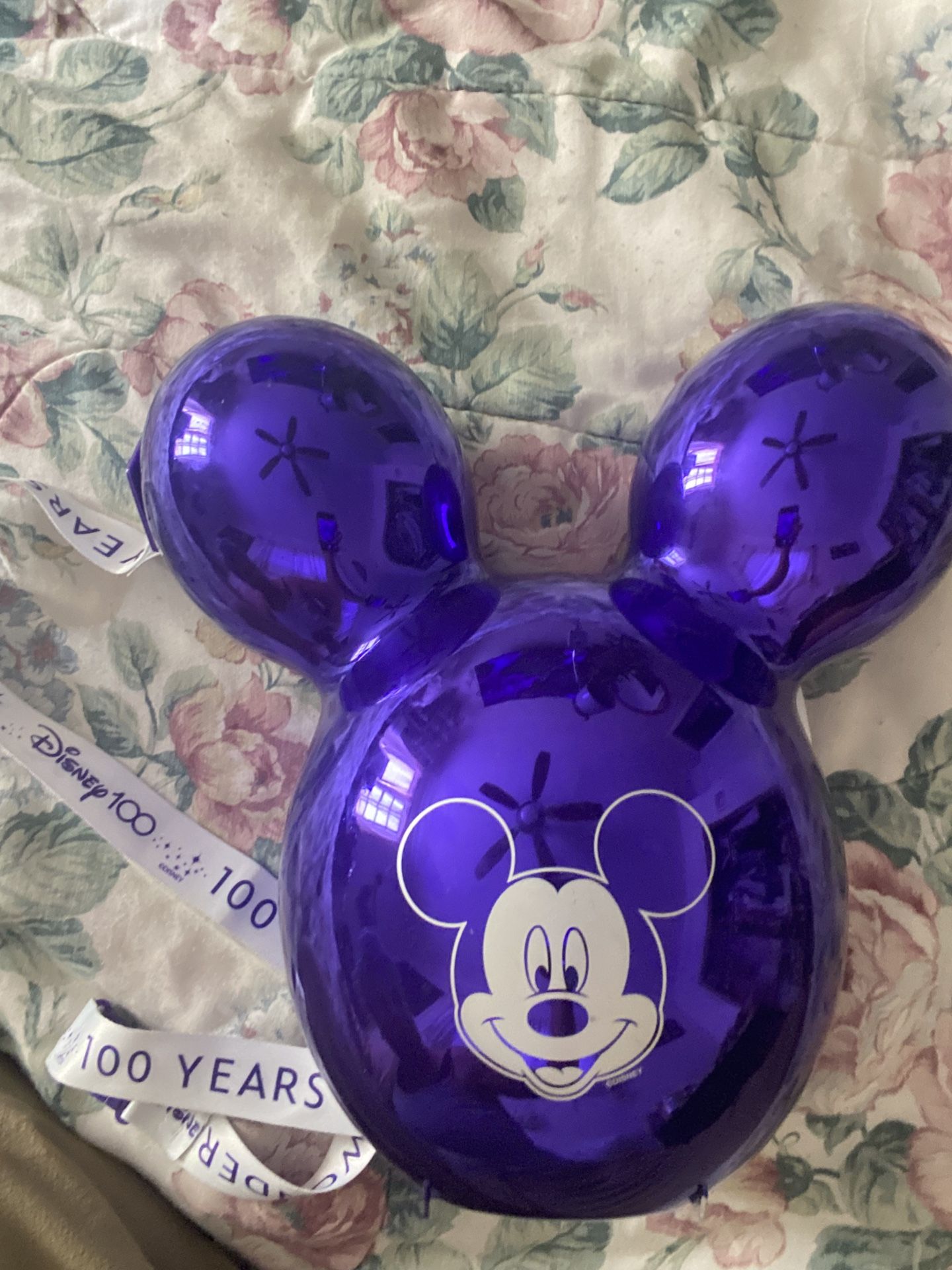 Disneyland Popcorn Bucket