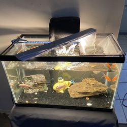 10 Gal Fish Tank