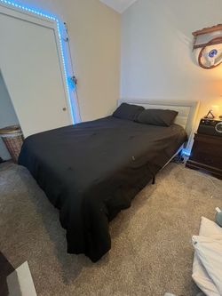 Tan bed with mattress