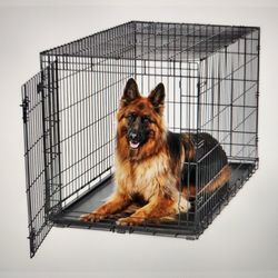 Collapsible Wire Dog Crate